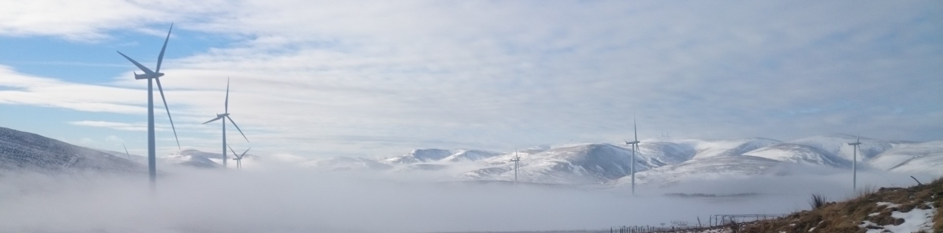 A windfarm